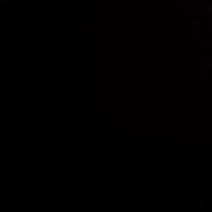 SOLD!!!!   MADEWELL Yellow Long Sleeve Women's Top Small